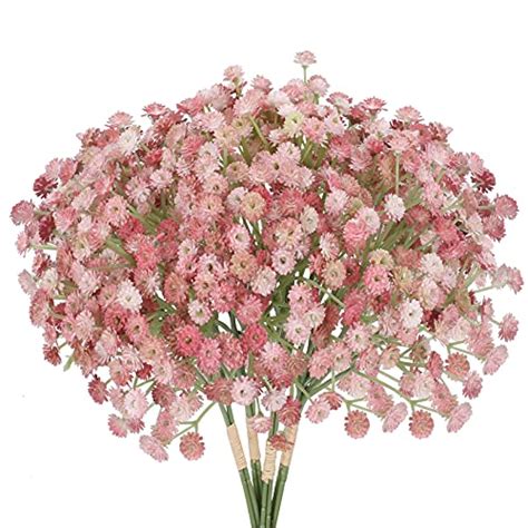 I Tested The Delicate Beauty Of Pink Babys Breath Flowers Heres Why