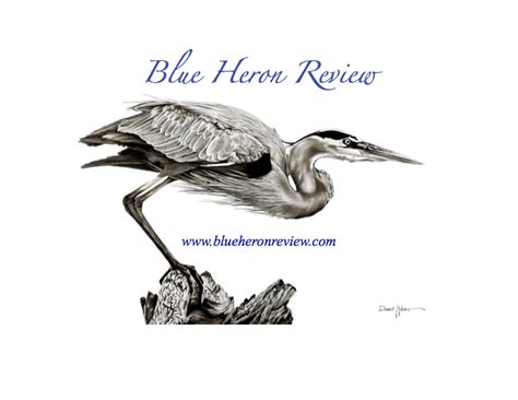 Submissions Now Open For Blue Heron Review Blue Heron Review