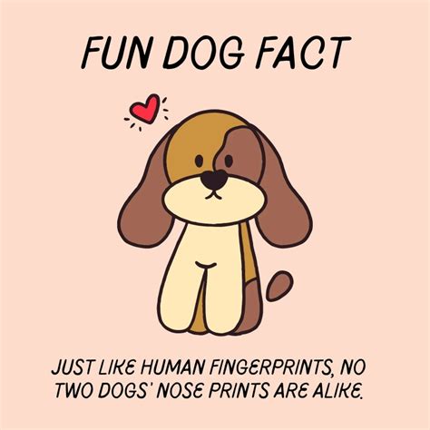 Your Dog Isn’t Psychic—It’s Just a Brilliant Detective