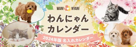 子犬子猫専門・名入れカレンダー「わんにゃんカレンダー2024」お申込み受付中です｜錦明印刷