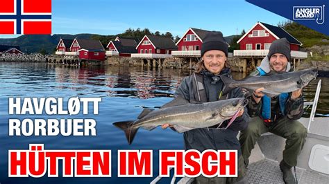 Angeln in Norwegen Havgløtt Rorbuer Hütten im Fisch Köhler Dorsch