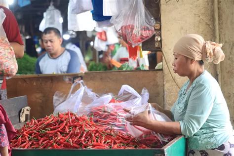 Ini Biang Kerok Harga Cabai Hingga Tomat Masih Tinggi Radar Surabaya