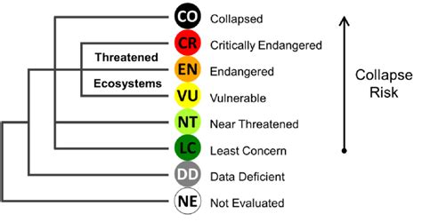 Structure Of The Iucn Red List Of Ecosystems Categories Download