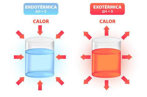 Reações Endotérmicas E Exotérmicas Mundo Educação