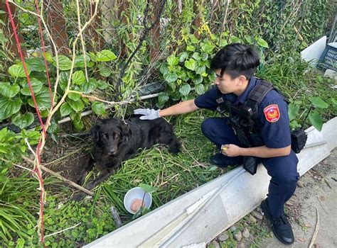 黑狗遭繩纏身難脫困 龜山暖警熱心救援 生活 黑狗遭繩纏身難脫困 龜山暖警熱心救援 青年日報