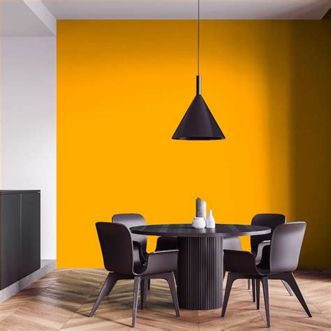 Paint Color Sunset Orange | VERNICE ITALIA