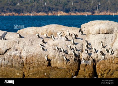 Wineglass Bay Cruises Stock Photo Alamy