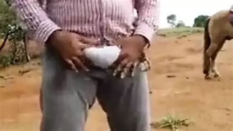 Ursos Free Gay Fat Blowjob Porn Video 6b XHamster