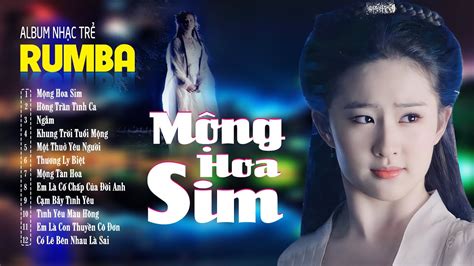 Mộng Hoa Sim Hồng Trần Tình Ca ALBUM RUMBA 8x9x Hot Tiktok LK Nhạc Trẻ Rumba Đặc Biệt