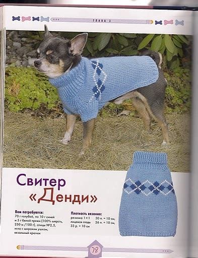 Вязаная одежда для собак