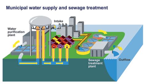 This figure shows municipal water supply and sewage treatment.?