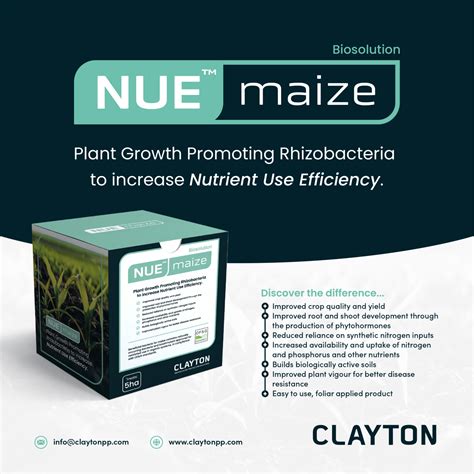 Understanding the vital work done at csiro clayton 10