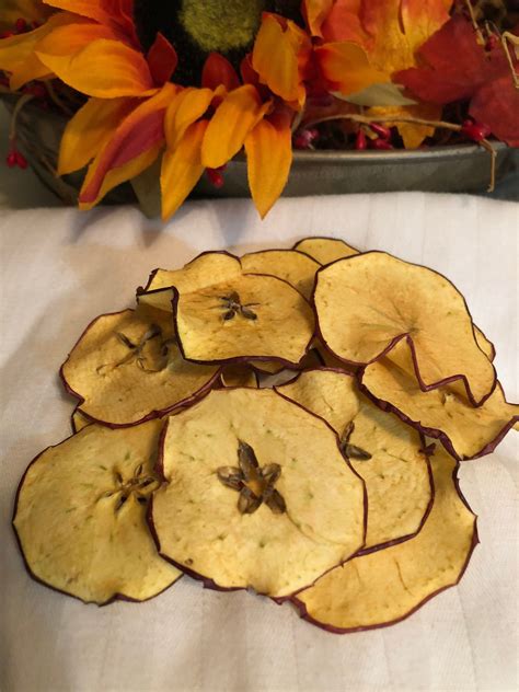 Dried Apple Slices Apple Decor Apple Craft Supplies Etsy