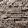 Evolve Stone Capital Sky Morning Aspen Non Rated Flat Stone Veneer