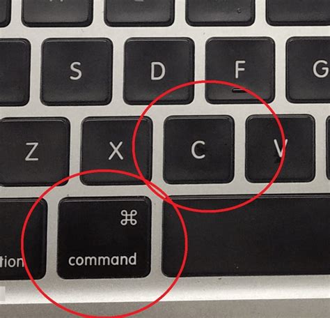 how to copy pic on mac