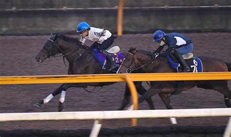 【神戸新聞杯】日本ダービー馬シャフリヤールが1週前追いで先着｜競馬ニュース｜競馬予想のウマニティ