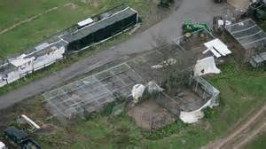 zanesville zoo animal massacre 1