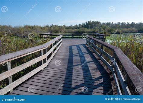 Anhinga Trail Boardwalk in Everglades National Park on Calm Sunny ...