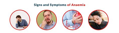 Anaemia: Symptoms, Causes, Diagnosis, Treatment and Prevention