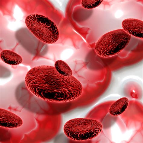 The Relationship Between Anemia and Kidney Disease