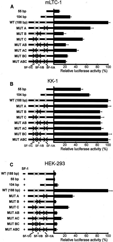 Effects of mutations in the SF-1-binding sites of RLF promoter ...