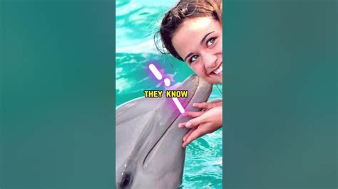 7 Unbelievable Facts About the Sensualsunshine Leak Experts Revealed! - joem2n9