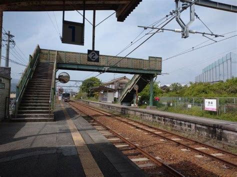 十五社の楠（じごせのくすのき）2023年4月21日 和歌山県伊都郡かつらぎ町 【地形図125000 粉河】 すまいらー山日記