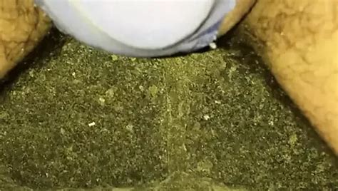 Blue Panty Pissing Pt 1 Free Gay Pissing Porn 79 XHamster