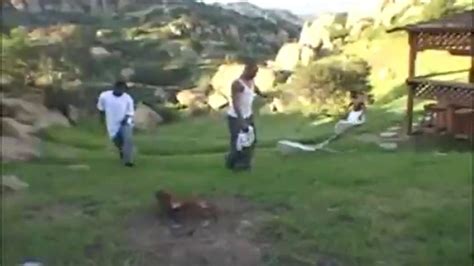 Tiffany Hopkins And 3 Black Dicks Tiffany Hopkins Porn Videos