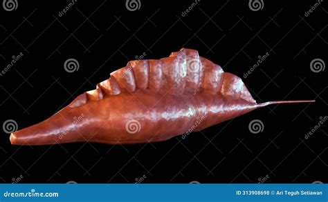 3d Rendering Protozoans Of The Genus Trypanosoma Stock Photo