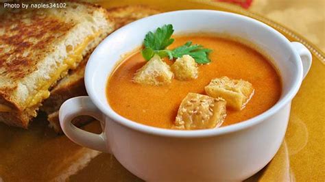 Tomato Soup Recipes Allrecipes