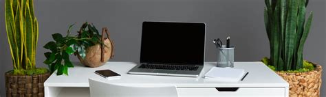 Indoor Plants For Your Office In Singapore | Potted Plants