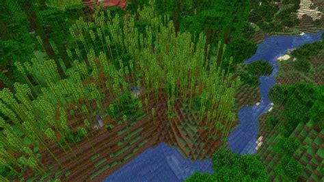 Around the Block: Bamboo Jungle | Minecraft