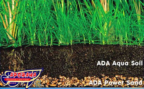 ADA Aqua Soil NEW Powder Amazonia - грунт Амазония, купить субстрат АДА ...