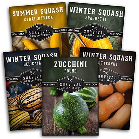 How To Cook Accorn Squash Metro Cooking Dallas