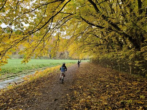 Biking: A Beginnerâ€™s Guide