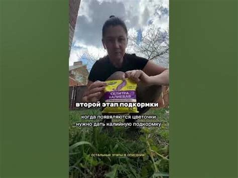 Схема питания для клубники - YouTube