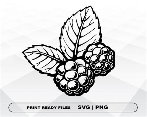 Raspberry SVG And PNG Files Clipart Raspberry Print SVG Etsy