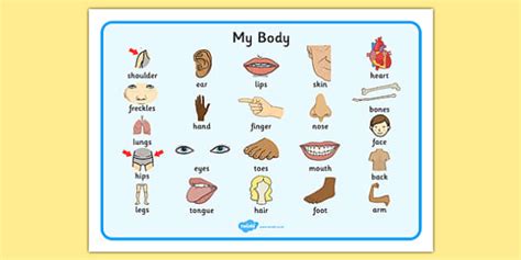 My Body Word Mat Esl Body Parts Resources Teacher Made