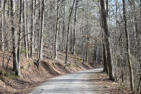 curved path images browse  stock  vectors  video