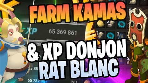 Best Astuce Xp Et Kamas Sur Dofus Team Cra Farm Youtube