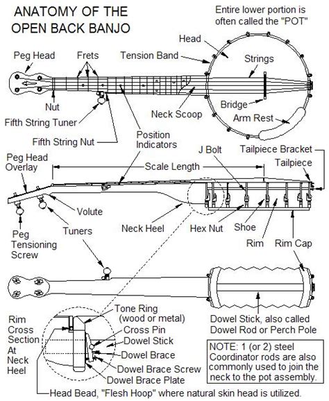 Anatomy Of A Banjo Anatomy Book