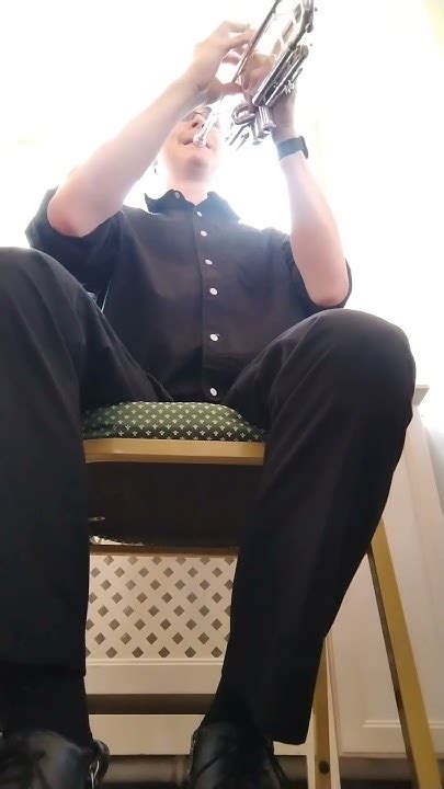 Начало полонеза из оперы "Евгений Онегин" П. И. Чайковского. #звонарь # ...