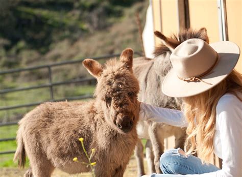Hidden Canyon Ranch Farms Farm Tours Starting This Spring Hidden