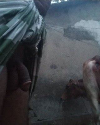 Imran With Wife Porn Pictures Xxx Photos Sex Images Pictoa