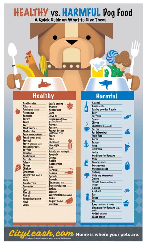 healthy  harmful dog food pictures   images  facebook tumblr pinterest