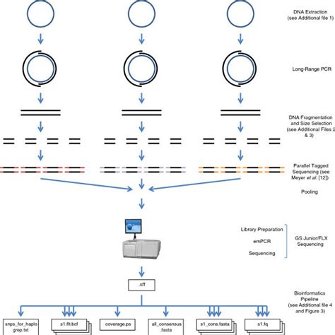 Steps In The Bioinformatics Pipeline The Pipeline Automatically