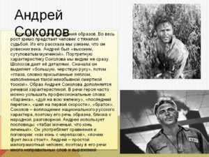Характеристика и образ андрея соколова в рассказе судьба человека ...