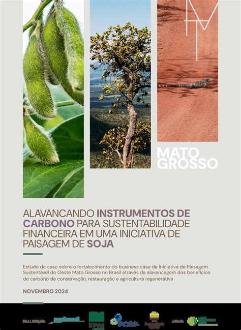 Proforest, 2025. Alavancando instrumentos de carbono para