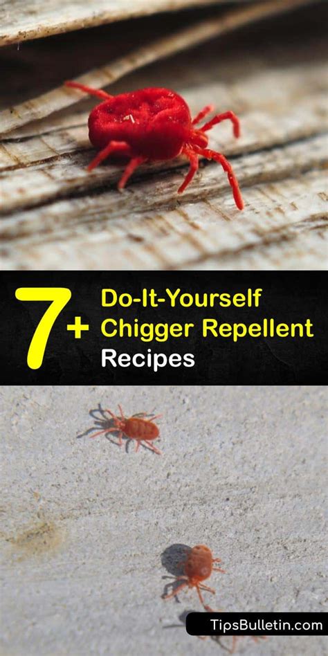 7+ Do-It-Yourself Chigger Repellent Recipes